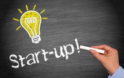 WHY YOUR STRUGGLING START-UP DIRELY NEEDS SMALL BUSINESS CONSULTING?